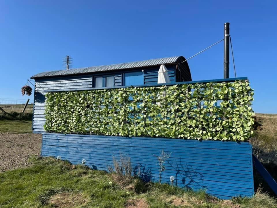 Croft B&B Accommodation With Hot Tub Gamrie Екстериор снимка